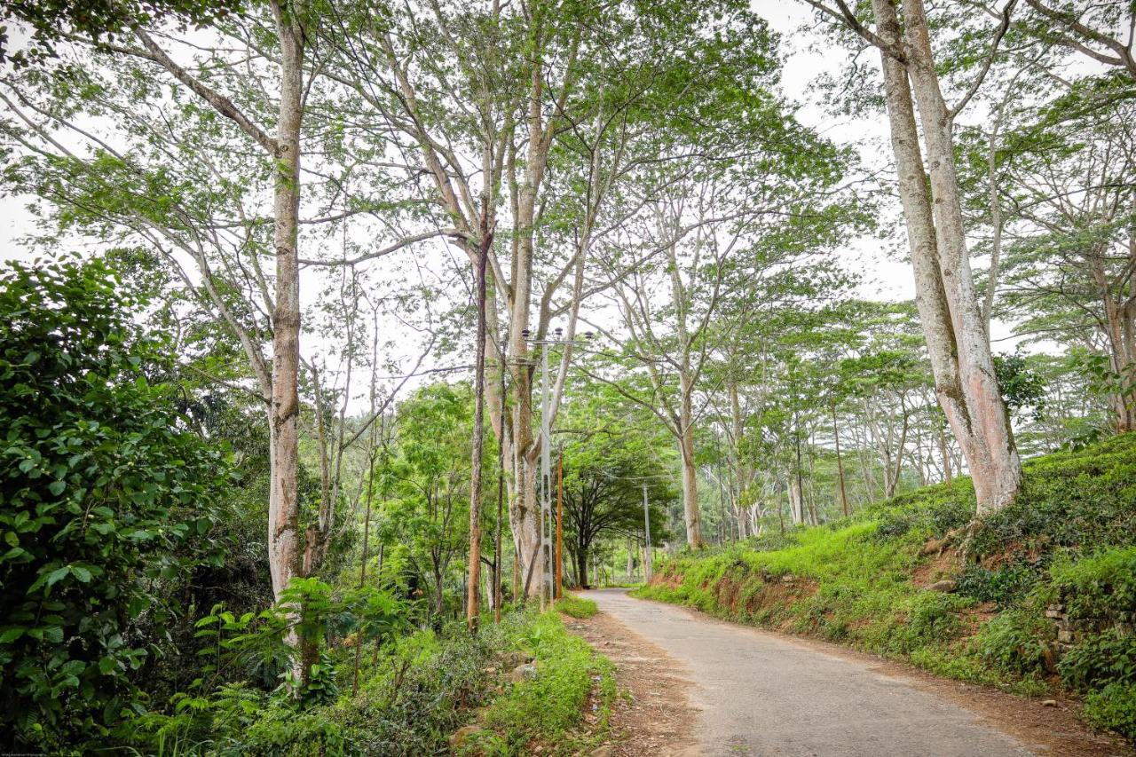 Tranquilisle Otel Kandy Dış mekan fotoğraf