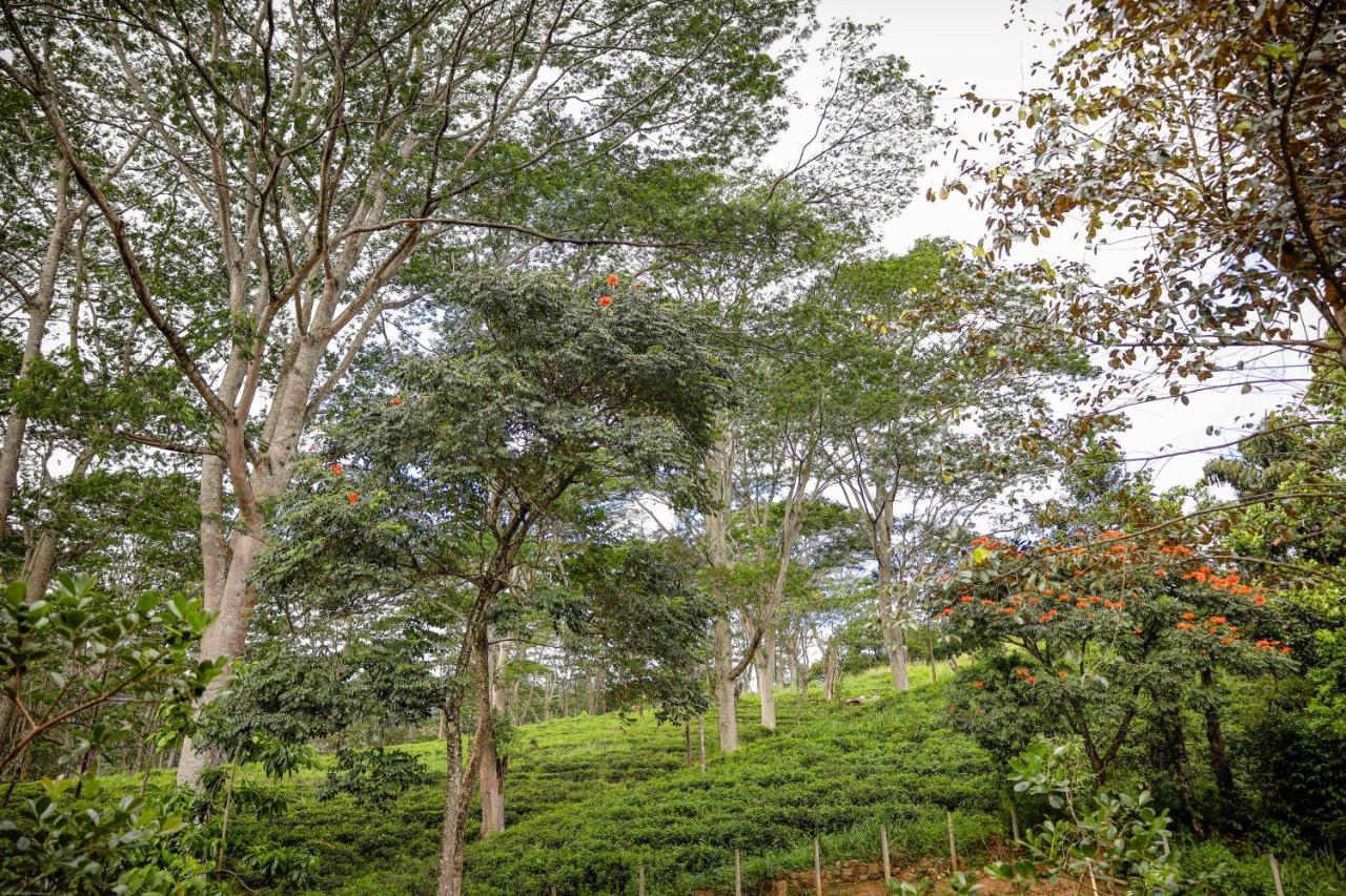 Tranquilisle Otel Kandy Dış mekan fotoğraf