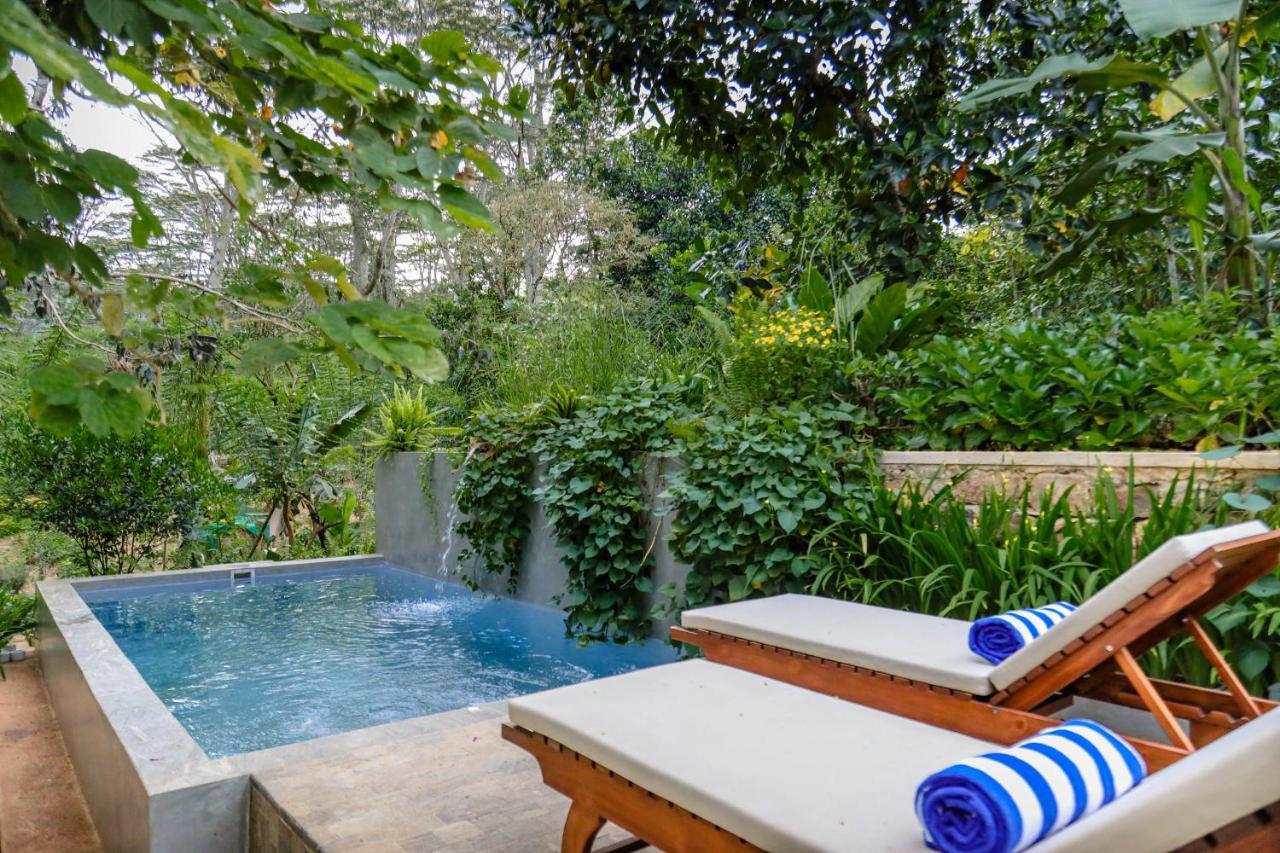 Tranquilisle Otel Kandy Dış mekan fotoğraf